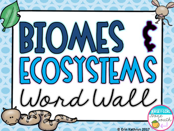 Preview of Biomes and Ecosystems Vocabulary Word Wall