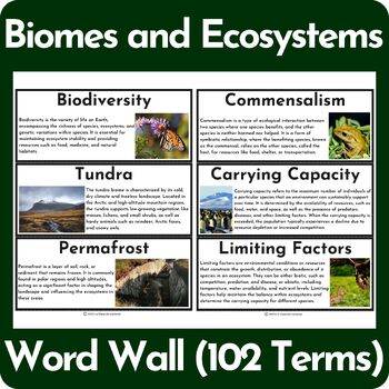 Preview of Biomes and Ecosystems Word Wall - ENGLISH VERSION