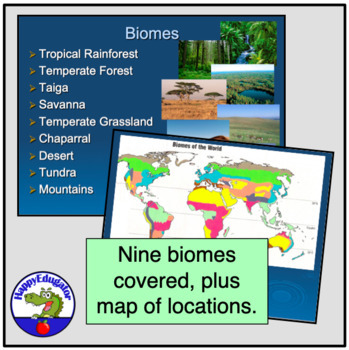 Taiga Biome: Animals, Plants, Climate & Locations - Video & Lesson  Transcript