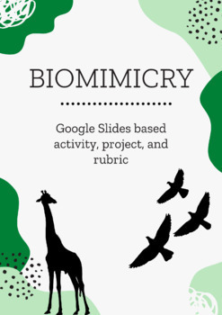 Preview of Biomimicry - Background Activity and Design Project