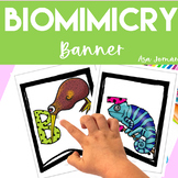 Biomimicry Classroom Banner | Design Inspired by Nature Science