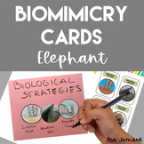 Biomimicry Cards Elephants STEAM | Biomimicry Design Compa