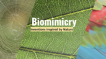 Preview of Biomimicry Invention Activity (Template, Rubric, & Google Slide Intro)