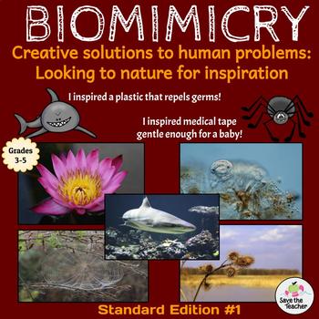 Preview of Biomimicry: Standard #1 Distance Learning Worksheets