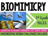 Biomimicry Lesson and STEM Challenge ( Aligns with 1st Gra