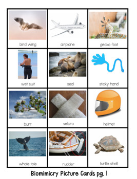 Preview of Biomimicry Match Cards! Humans Mimic Plants and Animals ( NGSS, 1-LS1-1 )