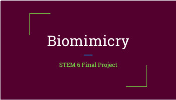 Preview of Biomimicry Notes and Examples