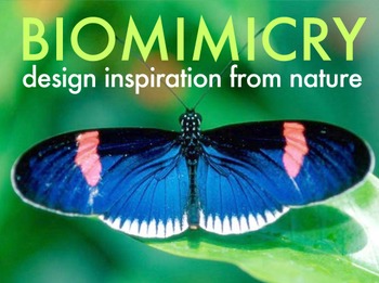 Preview of Biomimicry Powerpoint