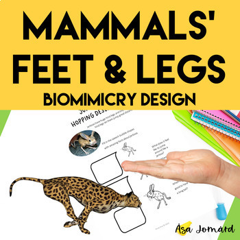 Preview of Animal Adaptation Activities | Mammals | Biomimicry Design Project | Nonfiction