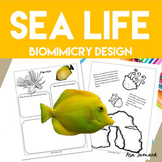 Sea Life | Biomimicry Design Inspired by Nature Compatible with NGSS