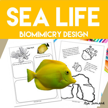 Preview of Sea Life Project | Biomimicry Design Activities |  Nonfiction