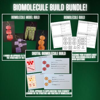 Preview of Biomolecule Build Bundle! Physical Model, Cut & Paste, and Digital