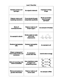 Biomolecule Choose Your Corner Formative Assessment Activity (Revised)
