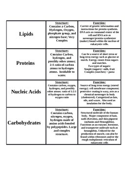 BioChemistry Review Answer Key - ANSWER KEY Basic