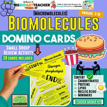 Preview of Biomolecule Domino Macromolecule Domino Review Cards