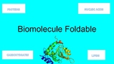 Biomolecule Foldable - Carbohydrates, Lipids, Proteins, Nu
