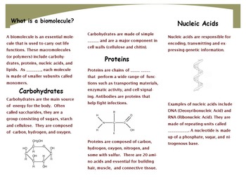 essay on the topic biomolecules