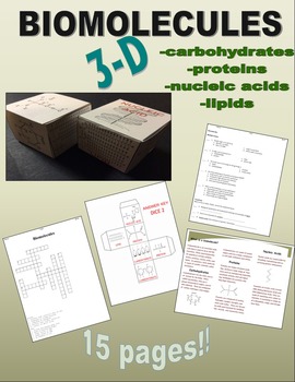 Preview of Biomolecules 3D: Carbohydrates, Proteins, Nucleic Acids, and Lipids