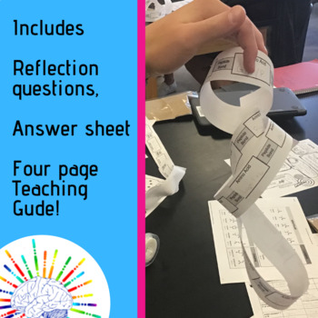 Biomolecules Activity Build A Protein Model To Learn Protein Folding