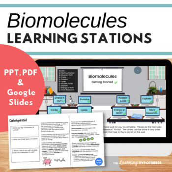 Preview of Biomolecules Activity.  Digital and PDF.