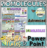 Biomolecules Advanced Doodle Notes & Quizzes (PDF and GF) 