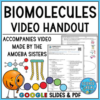 Preview of Biomolecules Amoeba Sisters Video Handout - 2 Handouts for 2016 and 2023 Videos