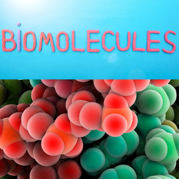 Preview of Biomolecules - An amoeba sister video guide