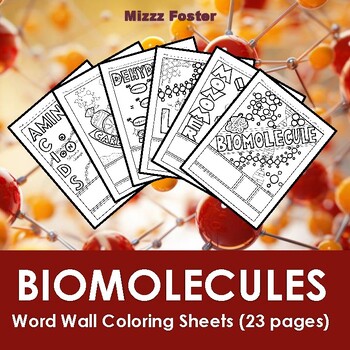 Preview of Biomolecules / Biochemistry Word Wall Coloring Sheets (23 pages)