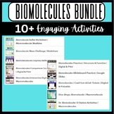 Biomolecules Bundle | Fun With Macromolecules