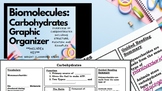 Biomolecules: Carbohydrates Graphic Organizer *with Key **