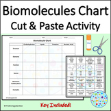 Biomolecules Chart for Macromolecules Review