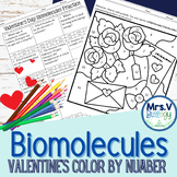 Biomolecules Color by Number---Valentine's Day Theme