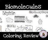 Biomolecules Coloring Sheet Review Notes Templates Biology