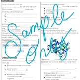 Biomolecules Guided Notes