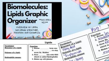 Preview of Biomolecules: Lipids Graphic Organizer *with KEY**