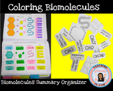 Biomolecules & Macromolecules Building Cut and Paste Color