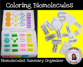 Preview of Biomolecules & Macromolecules Building Interactive Composition Notebook Biology