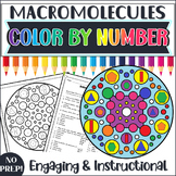 Biomolecules |Macromolecules Color by Number | Biology Rev