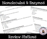 Biomolecules Macromolecules Enzymes Review Stations Worksh