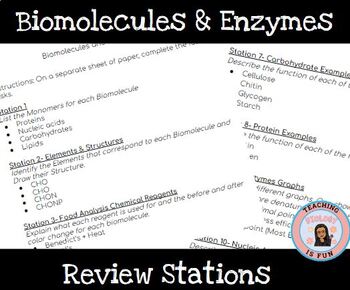 Preview of Biomolecules Macromolecules Enzymes Review Stations Worksheet Biology EDITABLE