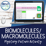 Biomolecules/Macromolecules: Mystery Picture DIGITAL Activity