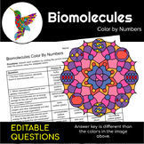 Biomolecules | Macromolecules | Science Color By Number