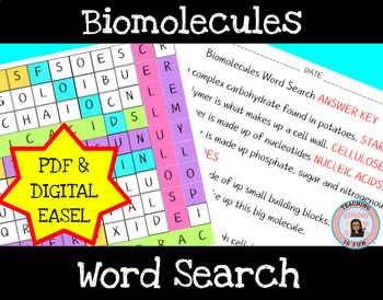 Preview of Biomolecules Macromolecules Word Search | Print and Digital EASEL
