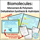 Biomolecules Monomers Polymers Interactive PPT and Worksheet