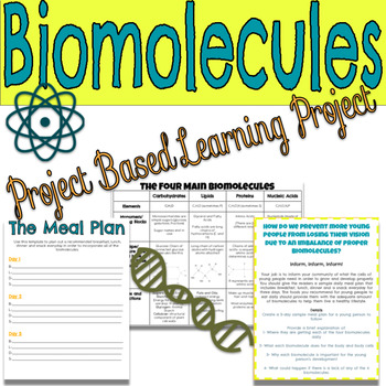 Preview of Biomolecules Project Based Learning Project