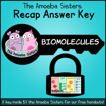 Preview of Biomolecules Recap Answer Key by the Amoeba Sisters (Amoeba Sisters answer key)