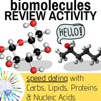 Preview of Biomolecules Review Activity -  'Speed Dating'!
