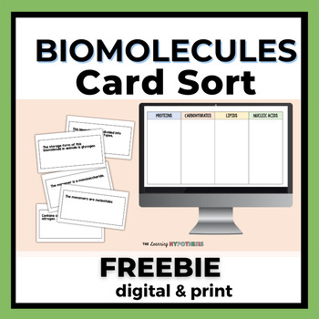 Preview of Biomolecules Sorting Cards