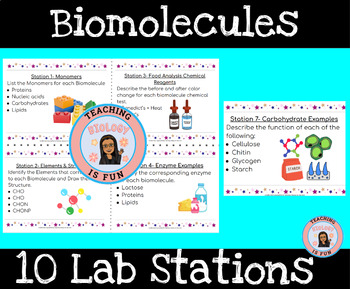 Preview of Biomolecules Task Cards Lab Stations Macromolecules Enzymes Review