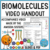 Biomolecules Video Handout for Video made by The Amoeba Sisters